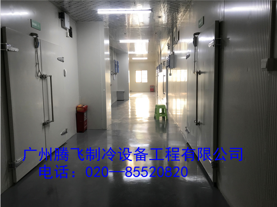 GSP認證醫(yī)藥物聯(lián)網(wǎng)冷庫—廣州安信醫(yī)藥有限公司